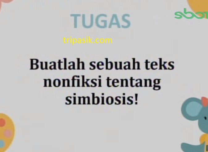 SBO TV 26 November 2020 Kelas 5