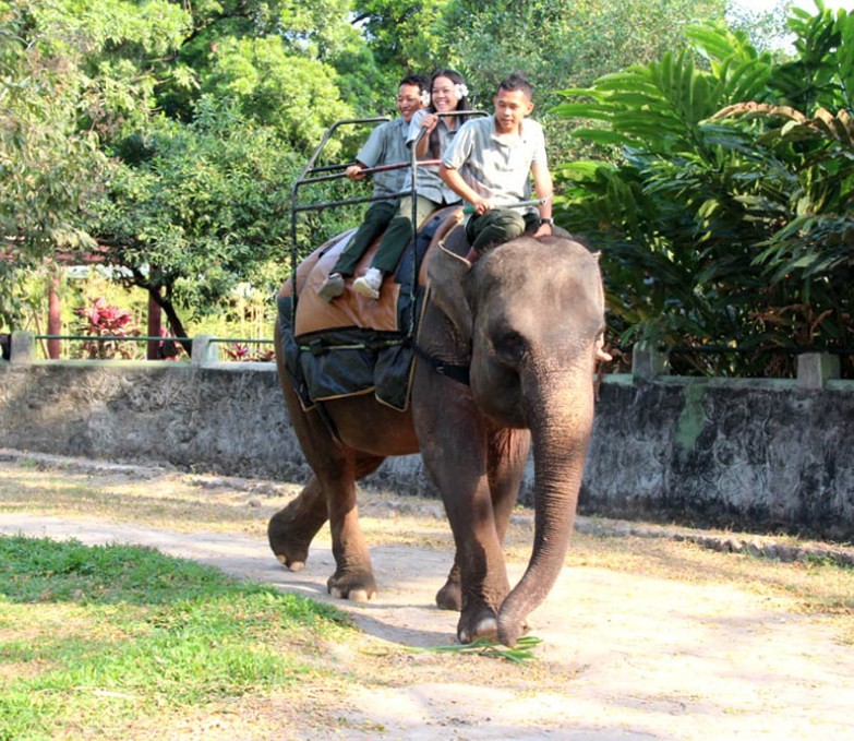 gajah gembira loka zoo