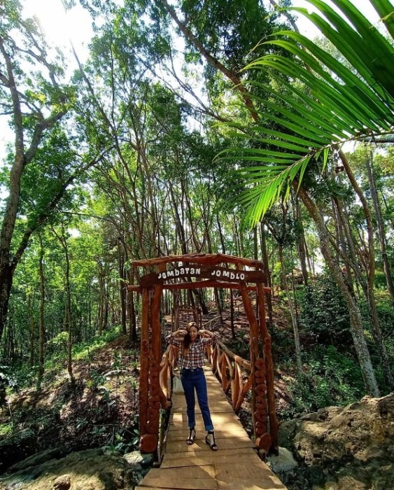tiket masuk hutan pinus mangunan