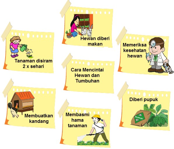 Soal dan Jawaban SBO TV 17 September SD Kelas 4