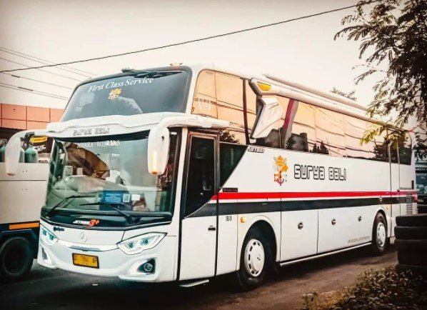 Tiket Bus Surya Bali