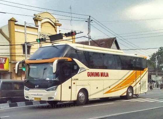 Tiket Bus Gunung Mulia
